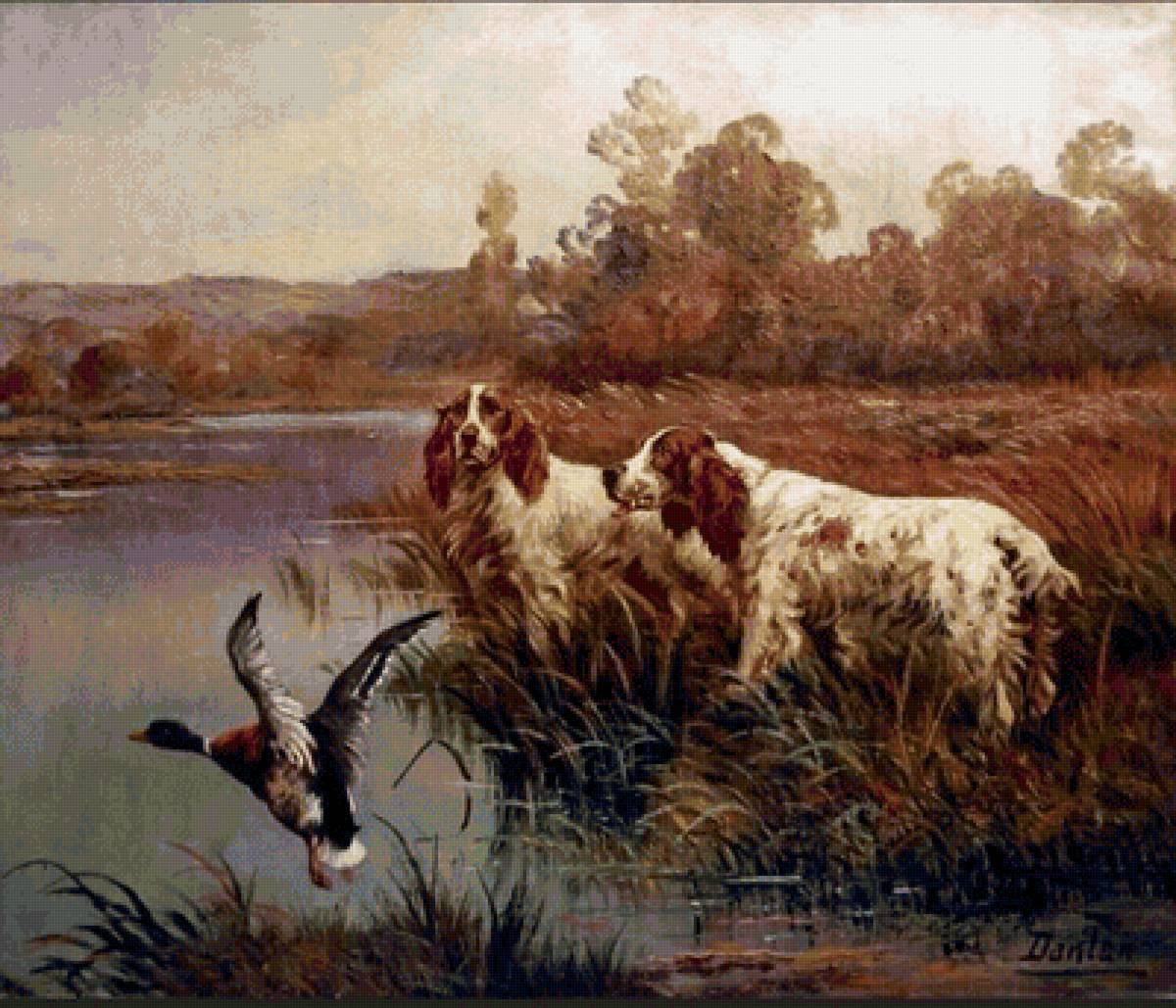 Охотники - утка, охота, дичь, собака - предпросмотр