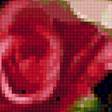 Предпросмотр схемы вышивки «Розы в вазе» (№2256981)