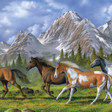 Схема вышивки «ТАБУН»