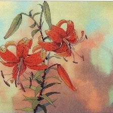 Схема вышивки «№2257544»