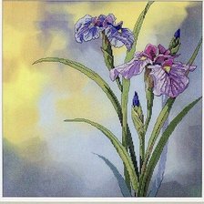 Схема вышивки «№2257553»