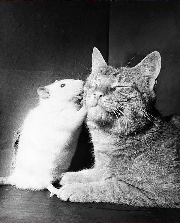 Расскажу тебе секрет - оригинал