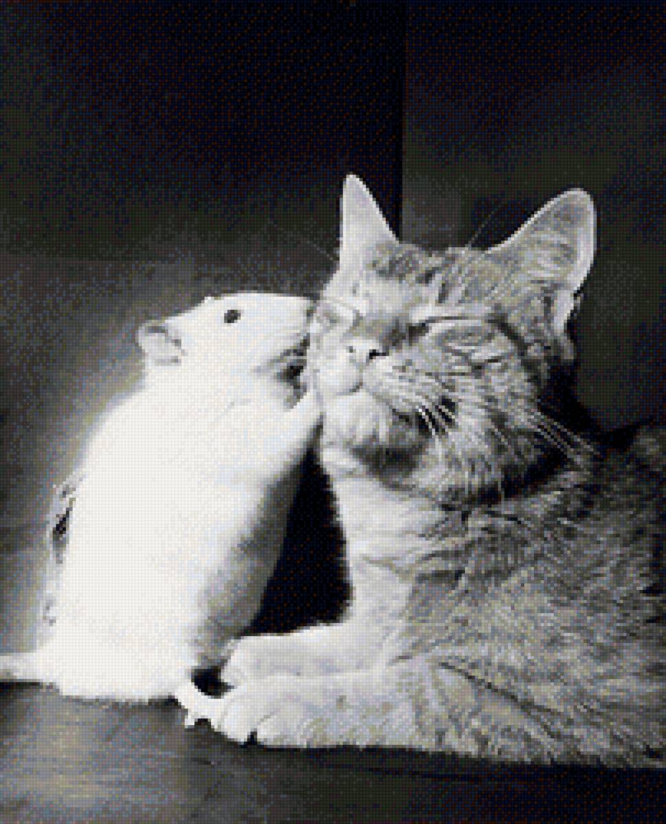 Расскажу тебе секрет - предпросмотр