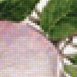 Предпросмотр схемы вышивки «Apple blossoms» (№2257884)