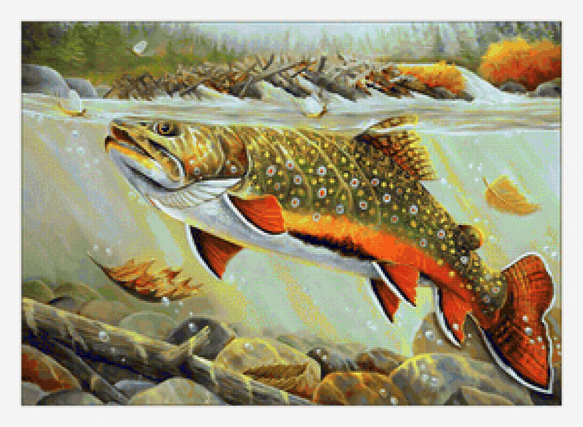 РЫБА - рыбы, животные - предпросмотр