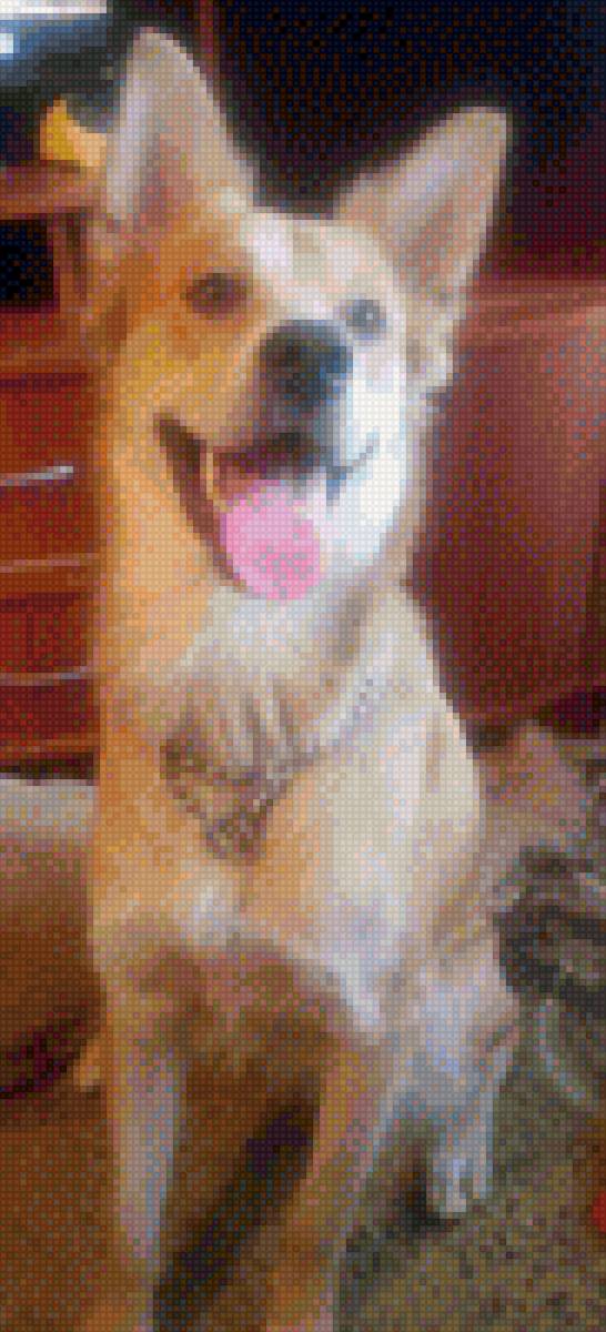 Джекки - любимый сыночек - предпросмотр