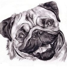 мопс подушка