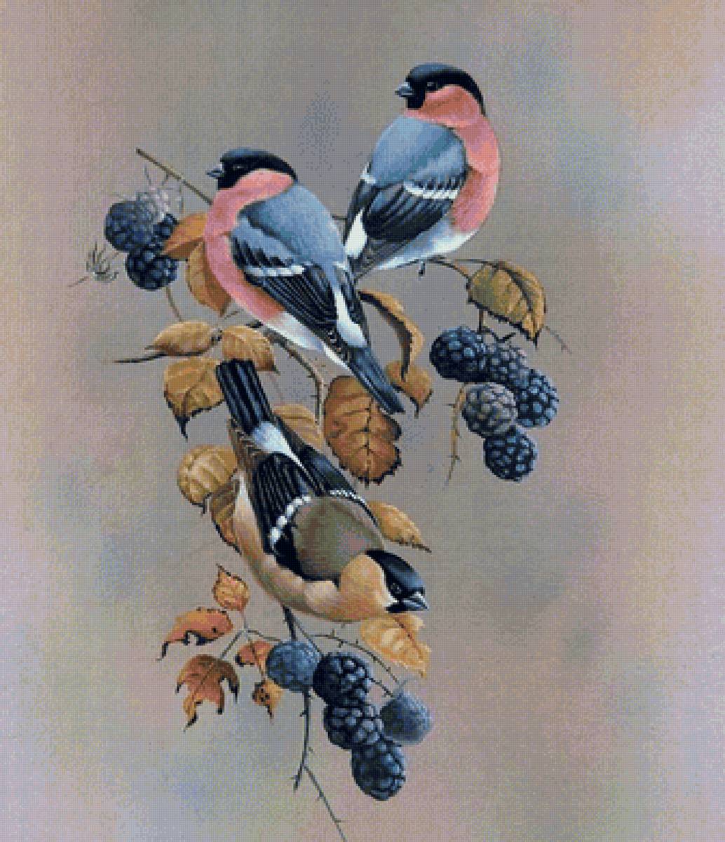 Снегири - птицы, ягоды, цветы - предпросмотр