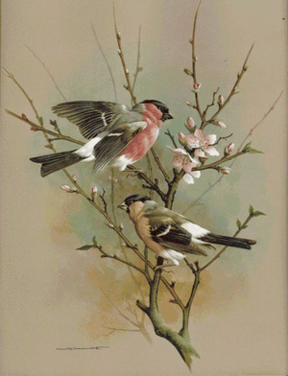 Весна - цветы, птички, весна - предпросмотр