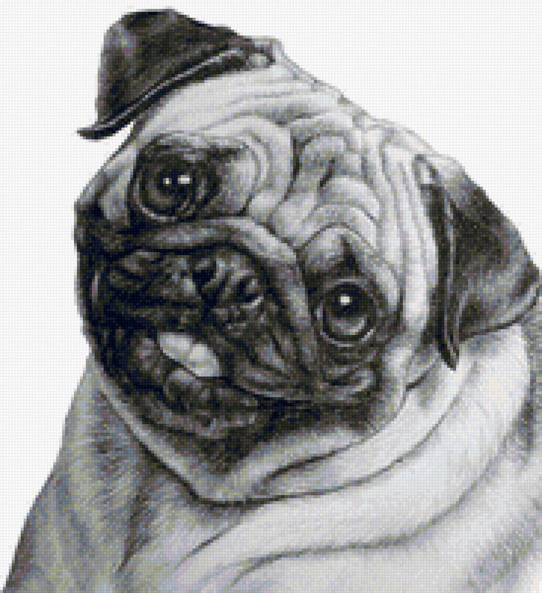 Мопс подушка 2 - предпросмотр