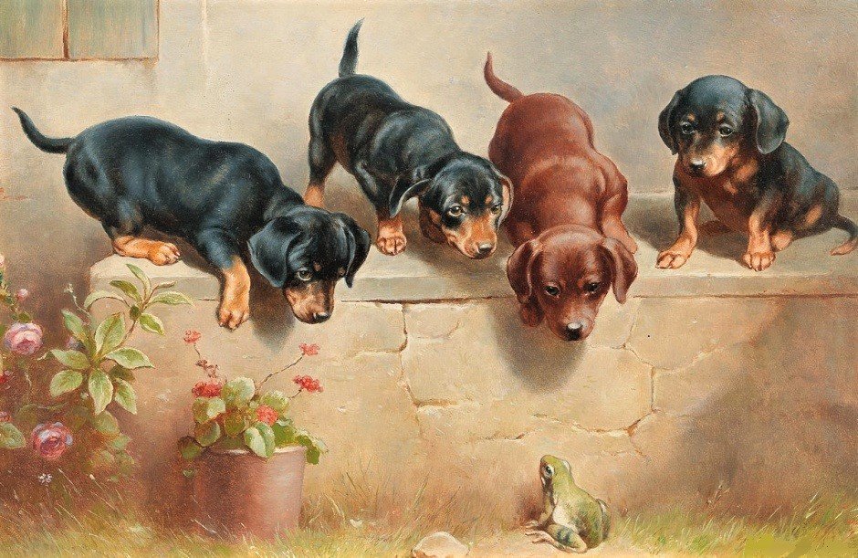 Любопытство - живопись, собаки, животные, лягушка, щенки - оригинал
