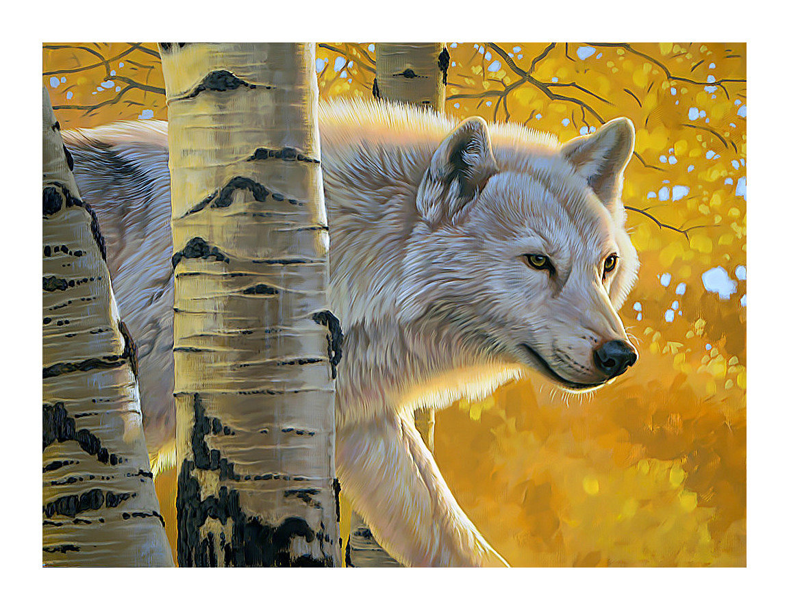 Белый волк. - волк, хищник, березы, животные, осень, живопись, лес - оригинал