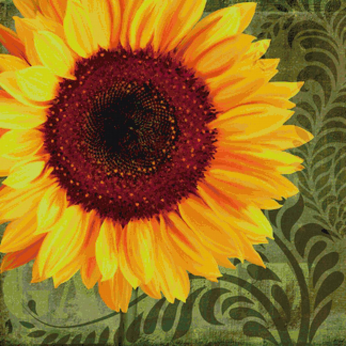 №2259177 - подсолнух - предпросмотр