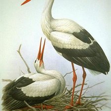 Схема вышивки «АИСТЫ»