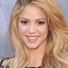 Схема вышивки «Шакира»