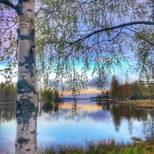 Схема вышивки «Берёза у пруда»