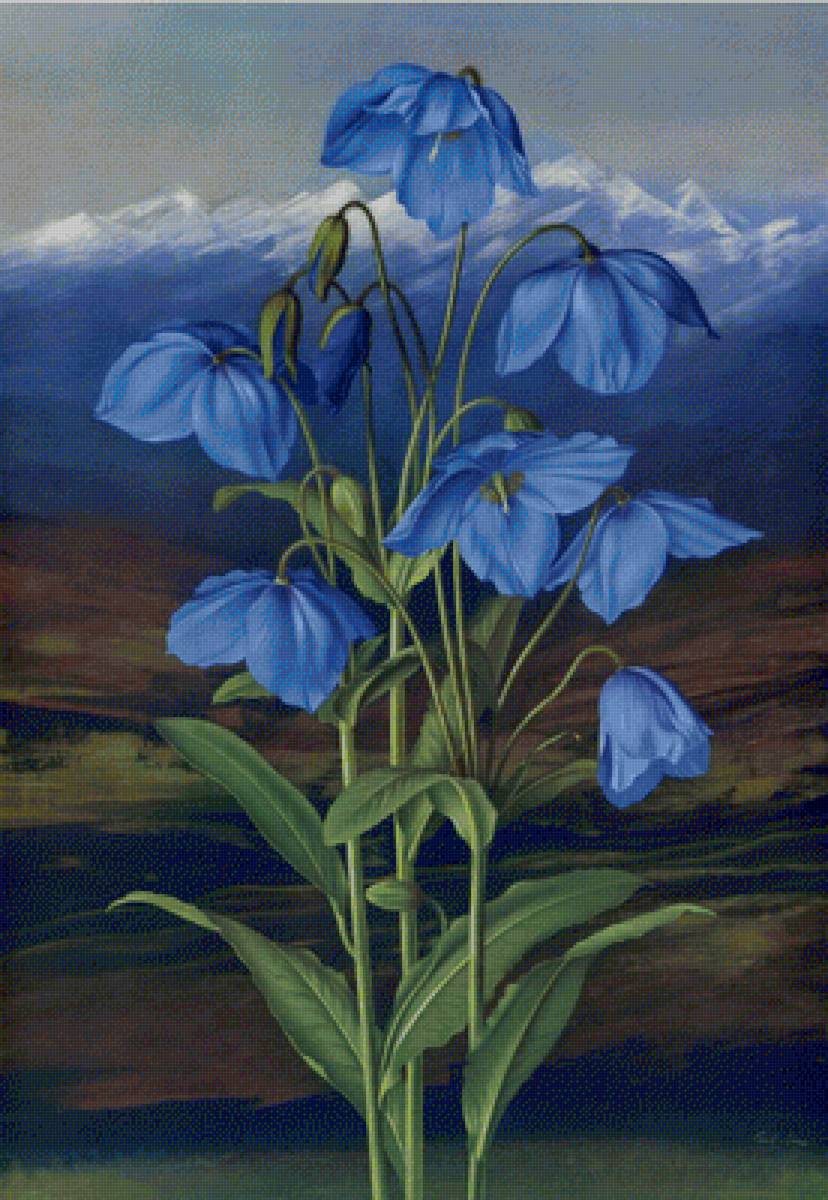 paisaje - naturaleza - предпросмотр