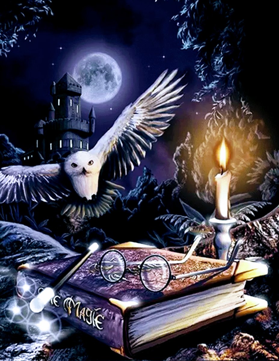 Сова - птицы - оригинал