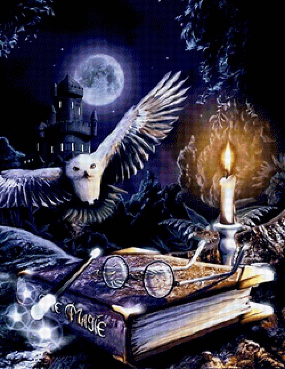 Сова - птицы - предпросмотр