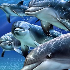 Схема вышивки «№2260220»