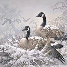 Схема вышивки «Geese 1»