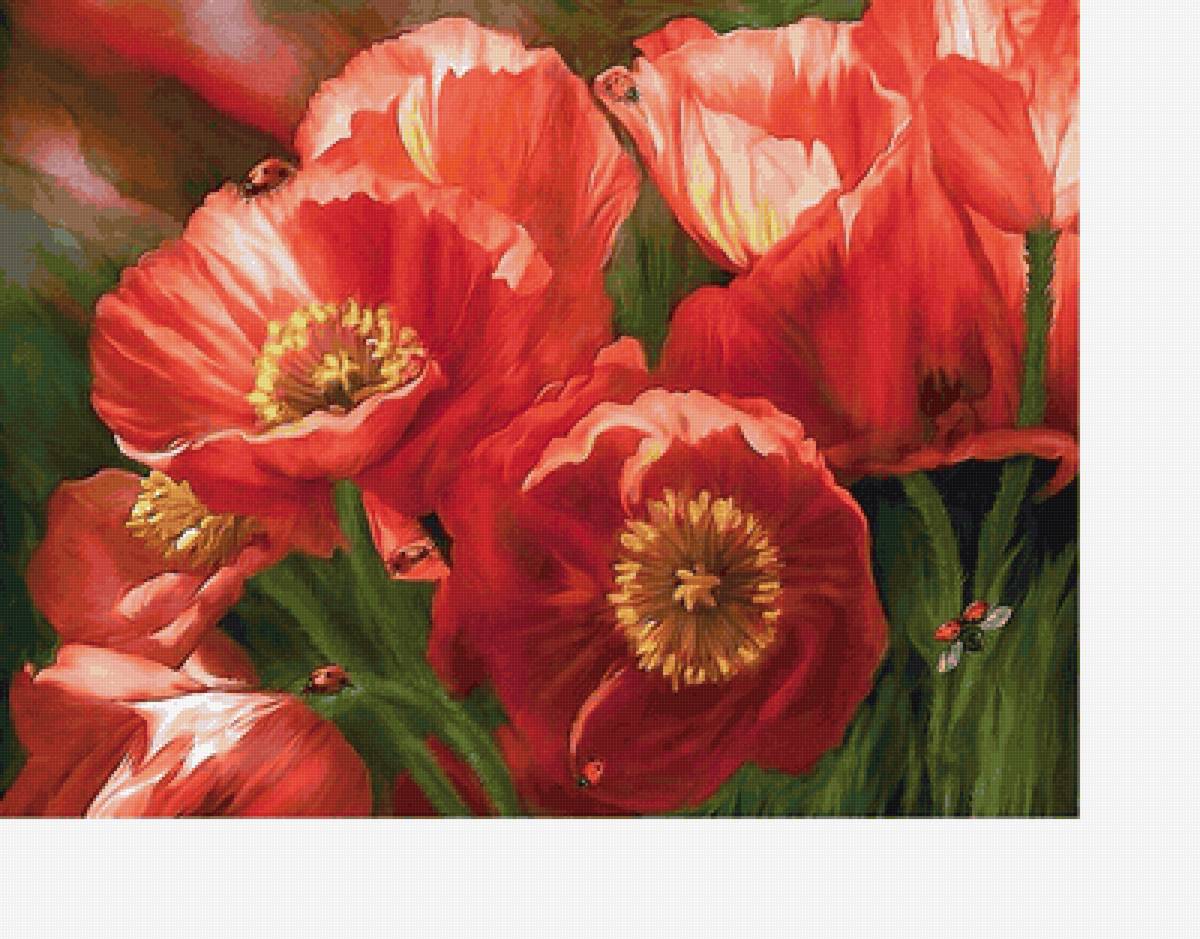 360х272 - предпросмотр