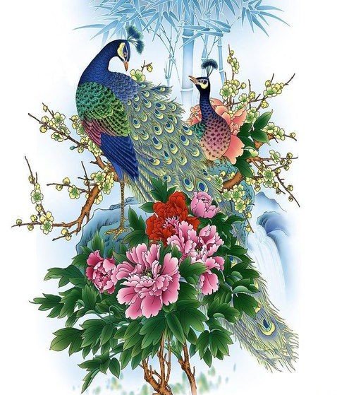 птицы - оригинал