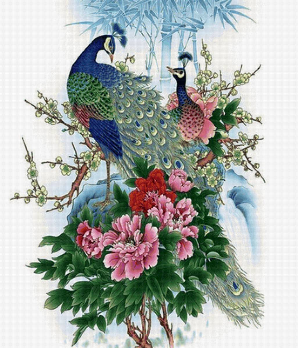 птицы - предпросмотр