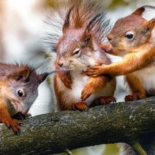 Схема вышивки «Три подружки»