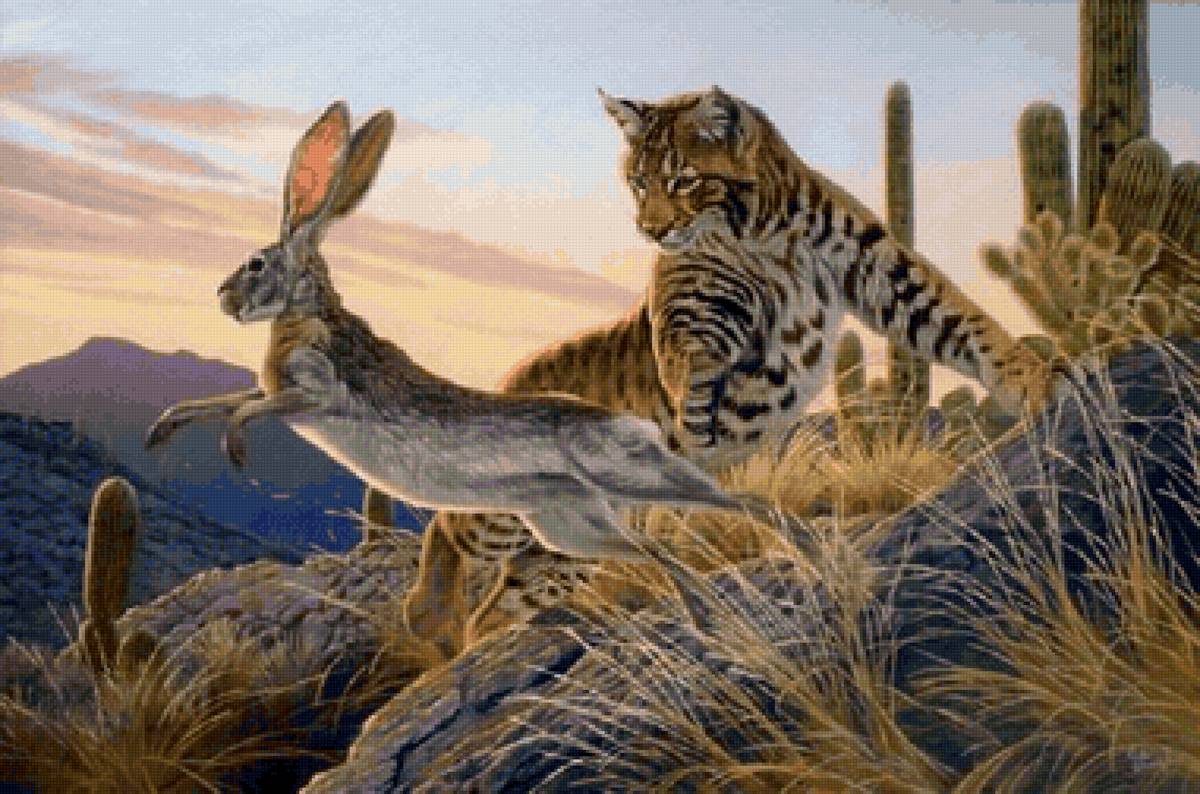 Animais selvagens. - animais. - предпросмотр