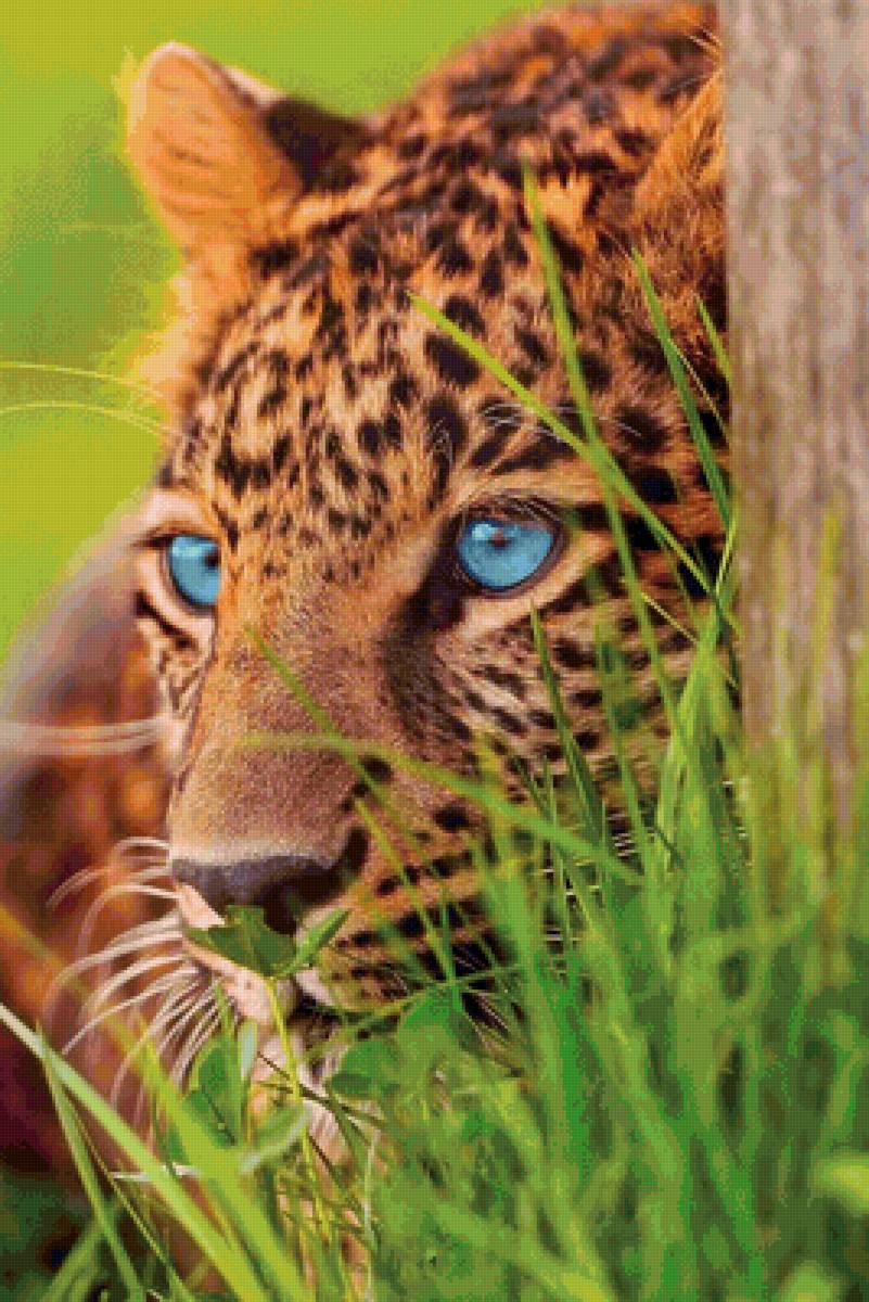 Леопард - леопард, животные, кошка - предпросмотр