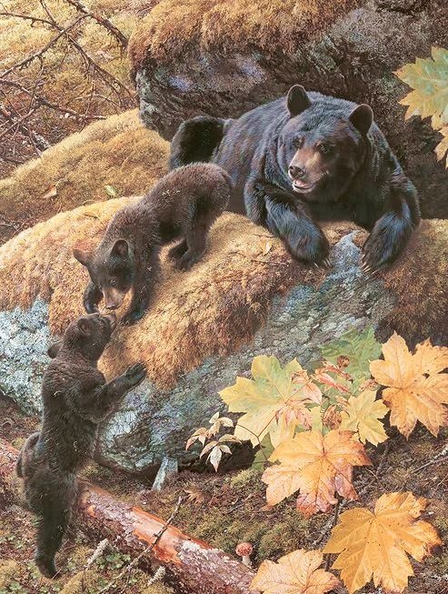 Familhea de ursos. - animais. - оригинал