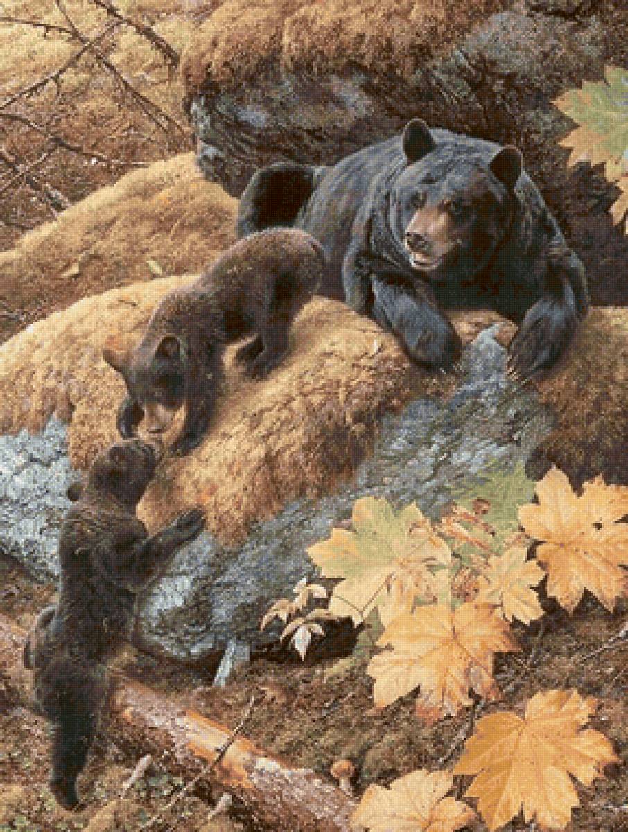 Familhea de ursos. - animais. - предпросмотр