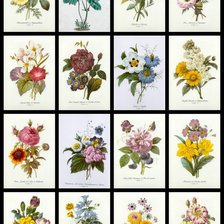 Схема вышивки «№2261030»