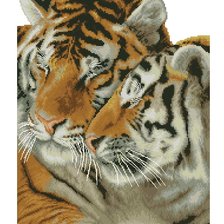 Схема вышивки «tigres»