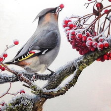 Схема вышивки «Птичка и рябина»