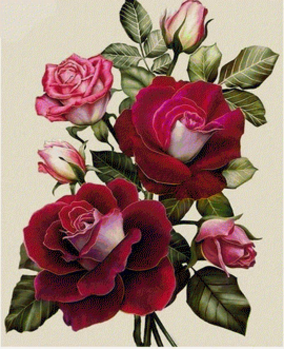 flori - предпросмотр