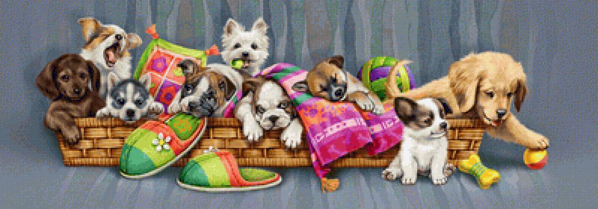 perritos - animles, perro - предпросмотр