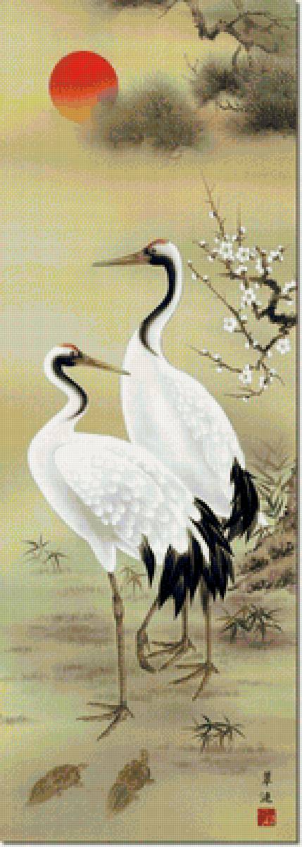 Цапли - птицы - предпросмотр