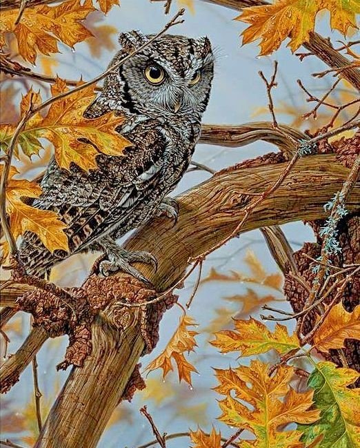 птицы - оригинал