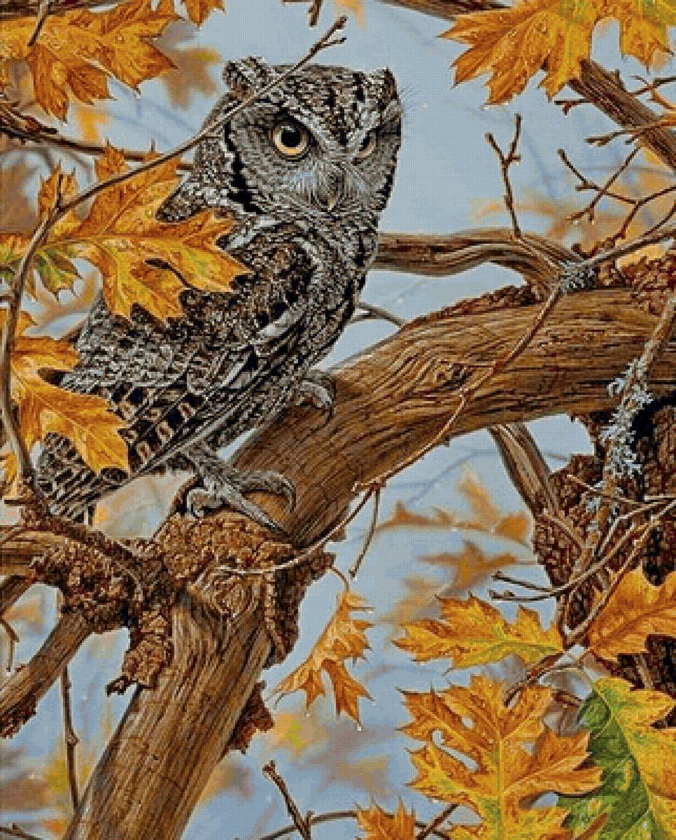 птицы - предпросмотр