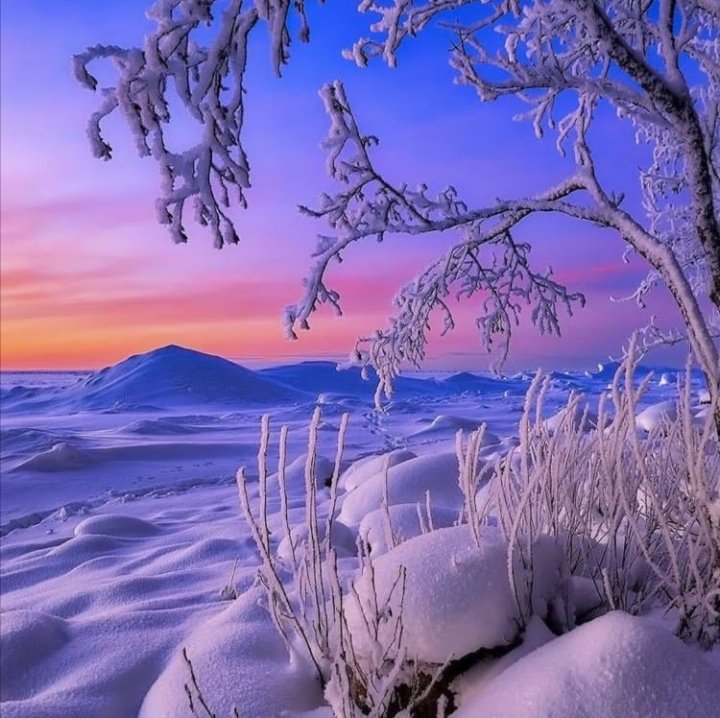 №2262473 - зима - оригинал