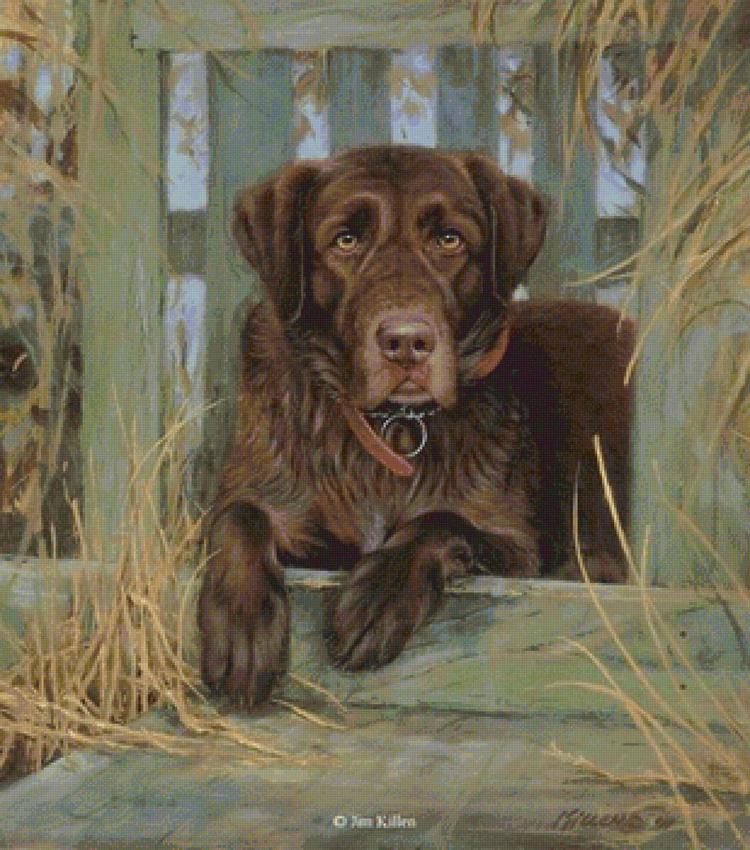 Сторож - двор, собака - предпросмотр