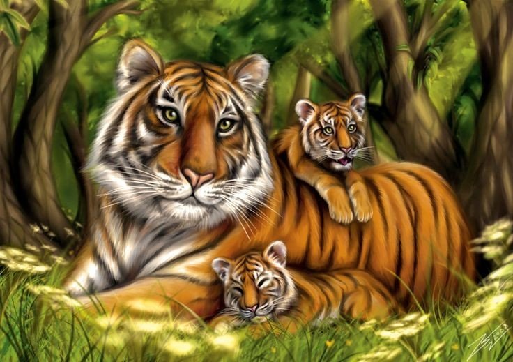 Тигры - оригинал