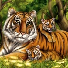 Оригинал схемы вышивки «Тигры» (№2262670)