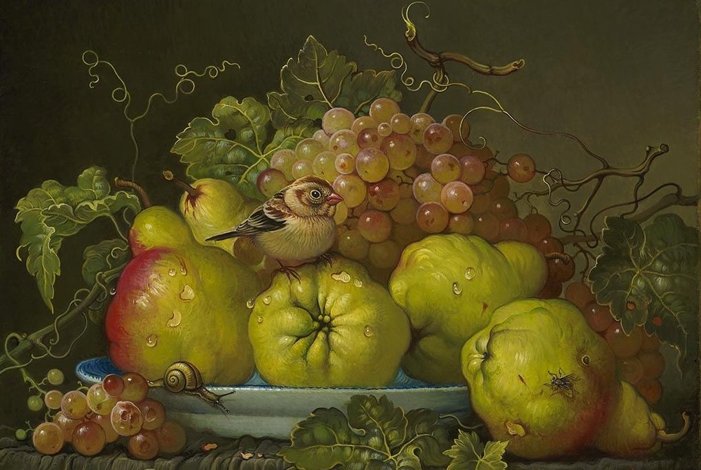 Frutas. - frutas., pássaro - оригинал