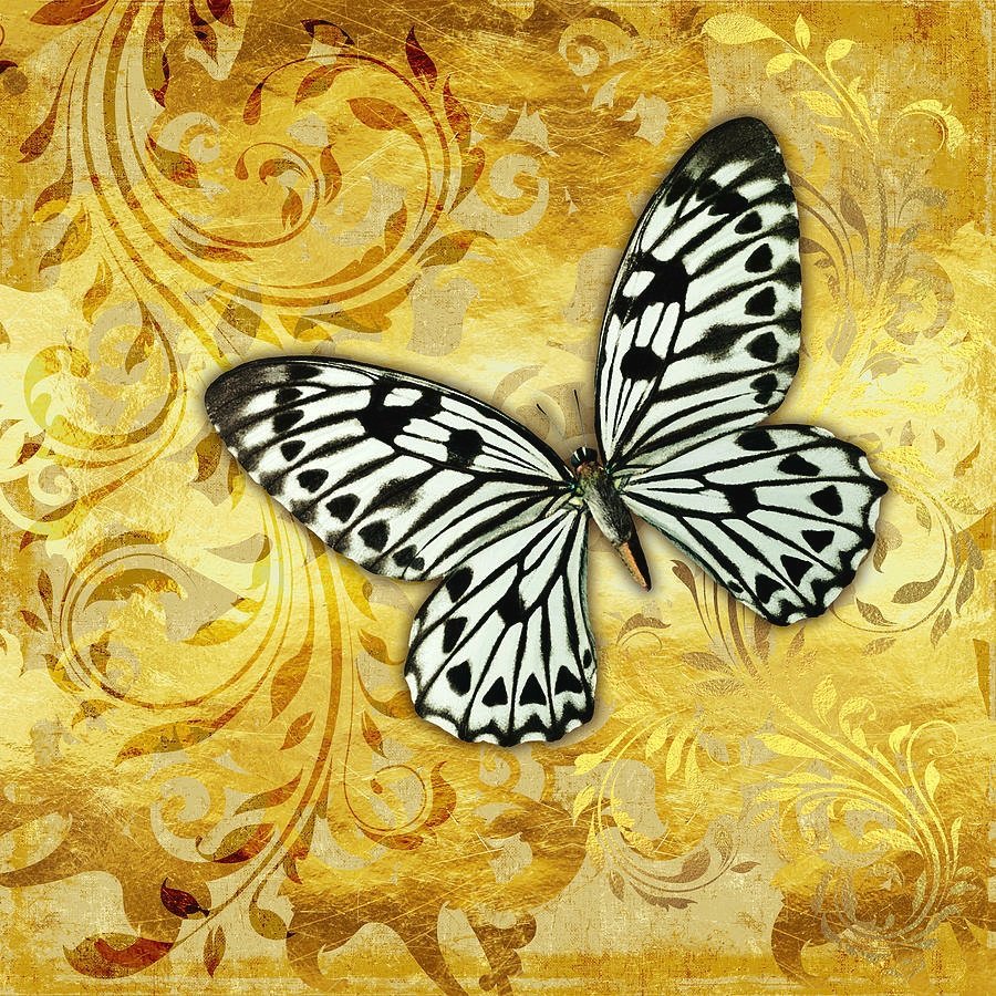 №2262799 - бабочка - оригинал