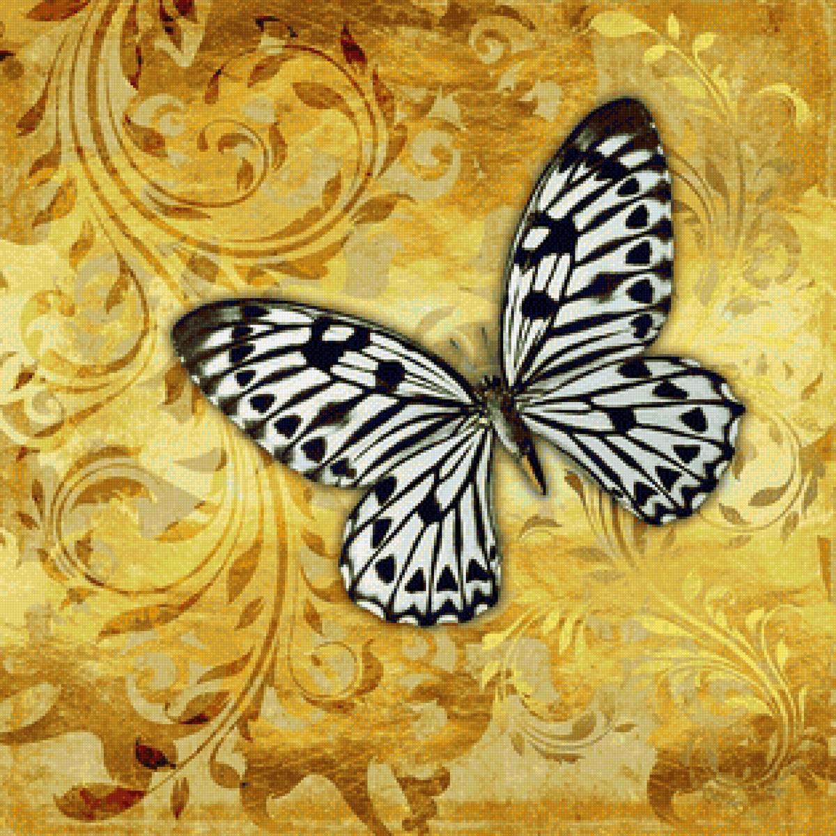 №2262799 - бабочка - предпросмотр