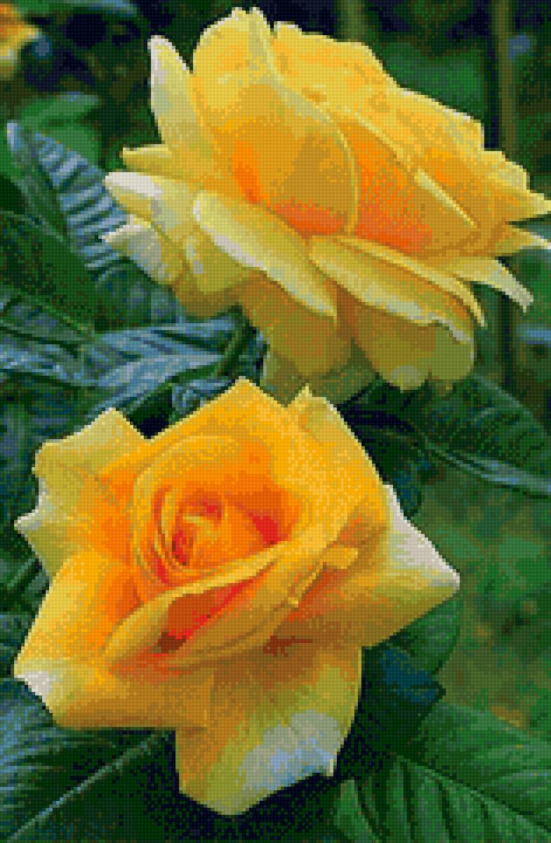 Желтые - предпросмотр