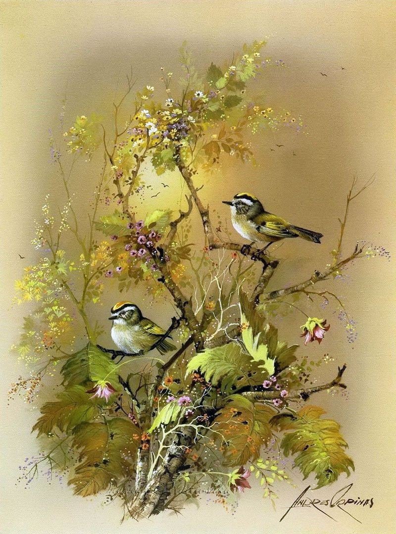 Птички - птички, иллюстрация, растение, природа - оригинал